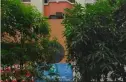 草塘花园实景图