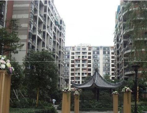 小区相关图