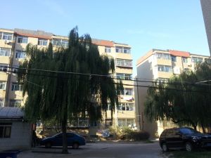 华苑小区3室1厅南北
