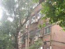 南北丹凤街 2室2厅 东