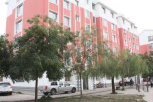 赛亨花园 3室2厅 南 北