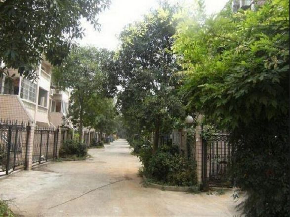 三江养生美墅实景图