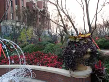 金地城E9纯洋房区,三室两厅一卫,餐厨分离,精装修。