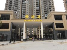 精装一房一厅拎包入住简洁而温馨视眼开阔。