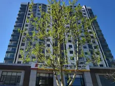 旅顺繁华地段楼层适中,配套齐全房主诚心出售