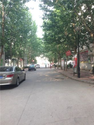 龙泰小区实景图