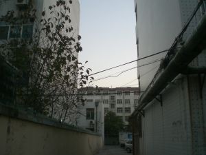 市府银座近,好楼层,日向新华!