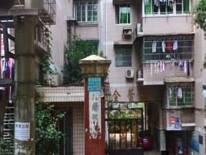 金蕾苑5室2厅南