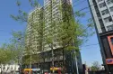 百盛朗庭实景图