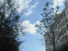 盛隆广场C区 四楼 162平 带车库