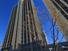 精装修两室,可以拎包入住。随时看房。