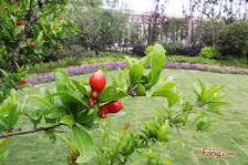 橡树湾一期 精装修 带车位 位置佳 业主诚心出售