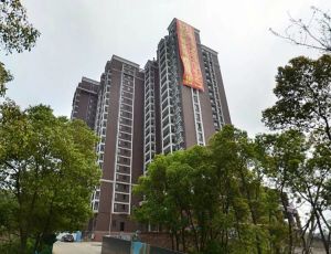 山水霖城 2室1厅 南