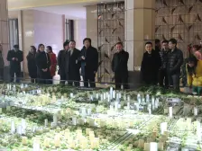 绿地城市大脑数字产业小镇 1室1厅 南