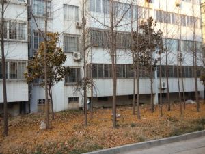 鲁伟商务港1室1厅南北