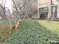 三代同住,300平堪比别墅,地下室,大院子,