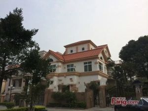 独栋带院大别墅三层出售私家车库