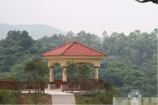 双拼别墅,随时看房,红本在手,全新交房标准