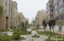 翠岛经典四期悦府实景图