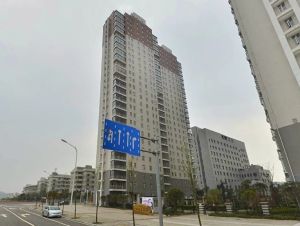 湘瑞嘉园 2室2厅 南