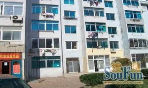 精装电梯凤凰楼层 五年外 小区环境好物业好