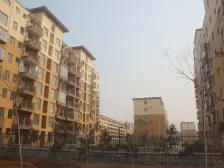 悦海居 2室1厅 南 北