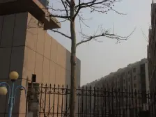 内湖外海的房子你喜欢吗,湖光海景小区看过来