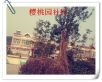 樱桃园小区实景图