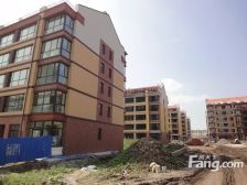 奥林小镇5室2厅南北