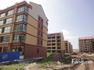 奥林小镇 精装修洋房 带露台 地铁二号线