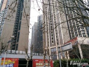 长房天翼未来城4室2厅南北