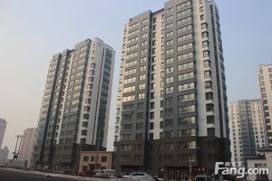 春天故事电梯房简装房子有装修空间采光好楼层好