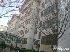 地税局宿舍3室2厅南北