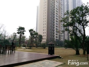 树木岭招商序旁融科东南海精装4房视野开阔采光好