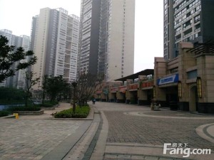 融科东南海5室1厅南北