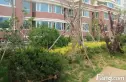 福海家苑实景图