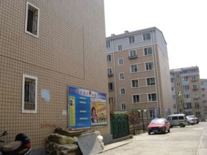 苏虎下楼到校、中等装修 非顶楼 五年外。采光好