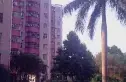 悠然山庄实景图