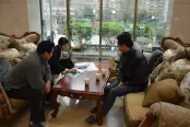 实景图