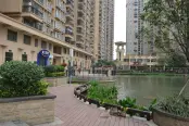实景图28