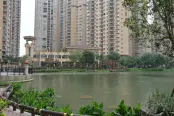 实景图29