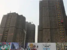 楼盘网红 人气小区 年轻人汇聚 装修小户型