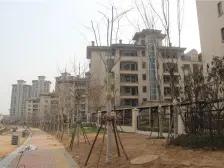 玫瑰郡一楼带院137平洋房,精装修,带地暖,户型方正