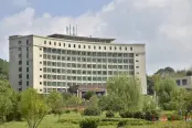 桃江县人民政府