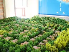 此房为双拼别墅,南北通透格局,地理位置好