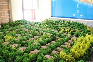 此房为联排别墅,南北通透格局别墅,70年产权