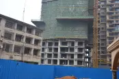 实景图