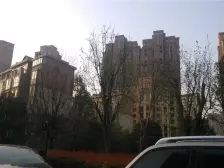 电梯洋房,中间楼层,小区人车分流,