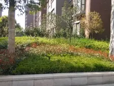 电梯洋房一梯两户好楼层 户型好