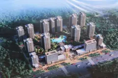 同顾中央公园
